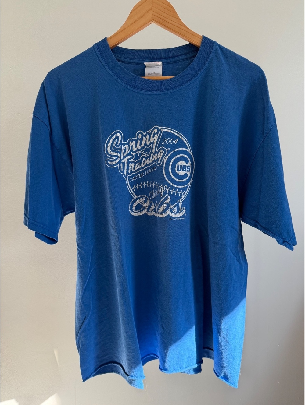Vintage 2004 Chicago Cubs Spring Training T Shirt XL Gildan Cactus League MLB